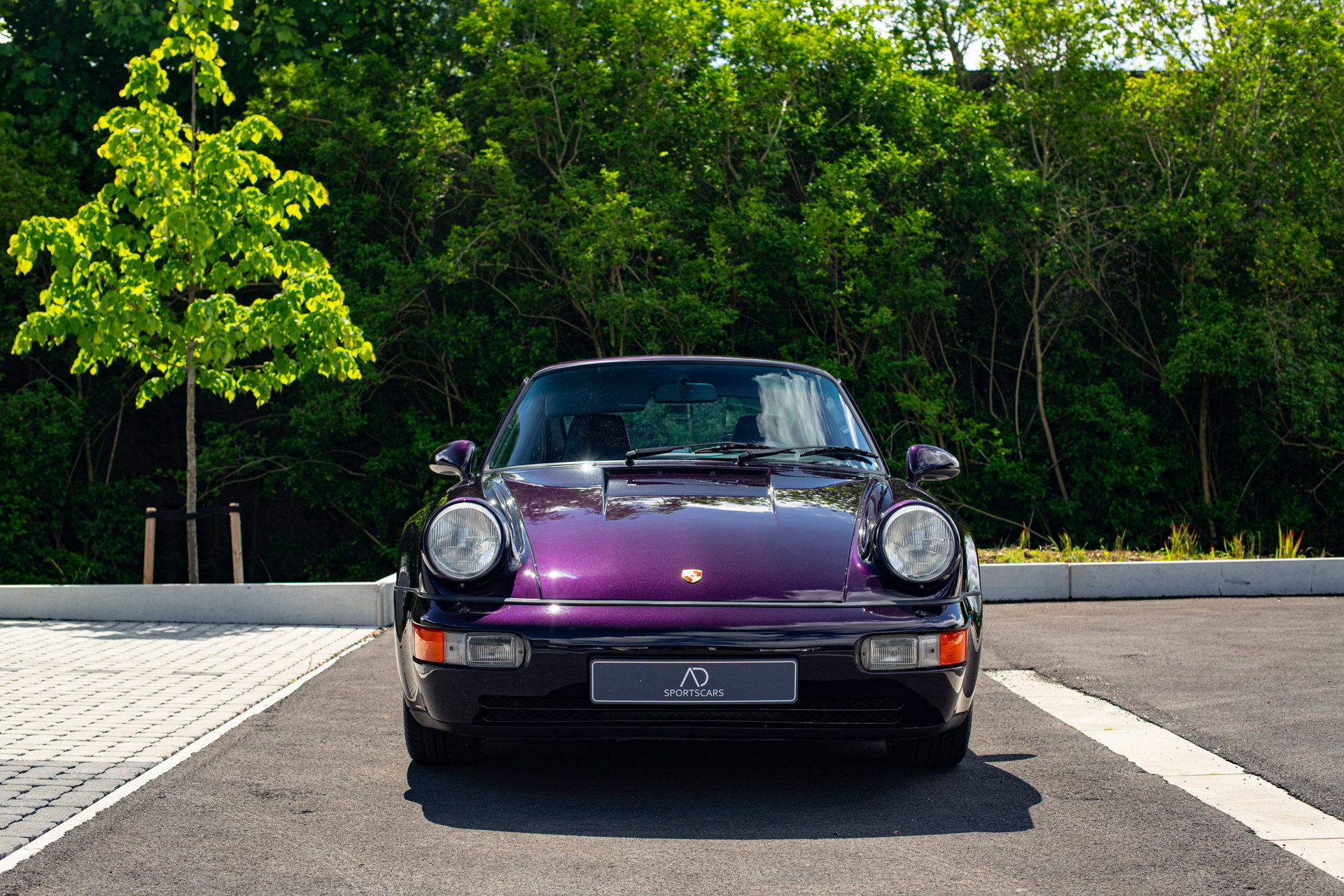 1993 Porsche 911 / 964 Carrera - Jubilee #273 | Freshly Serviced, foto 2