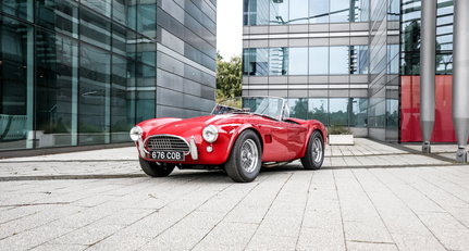 1964 AC Cobra - Cobra