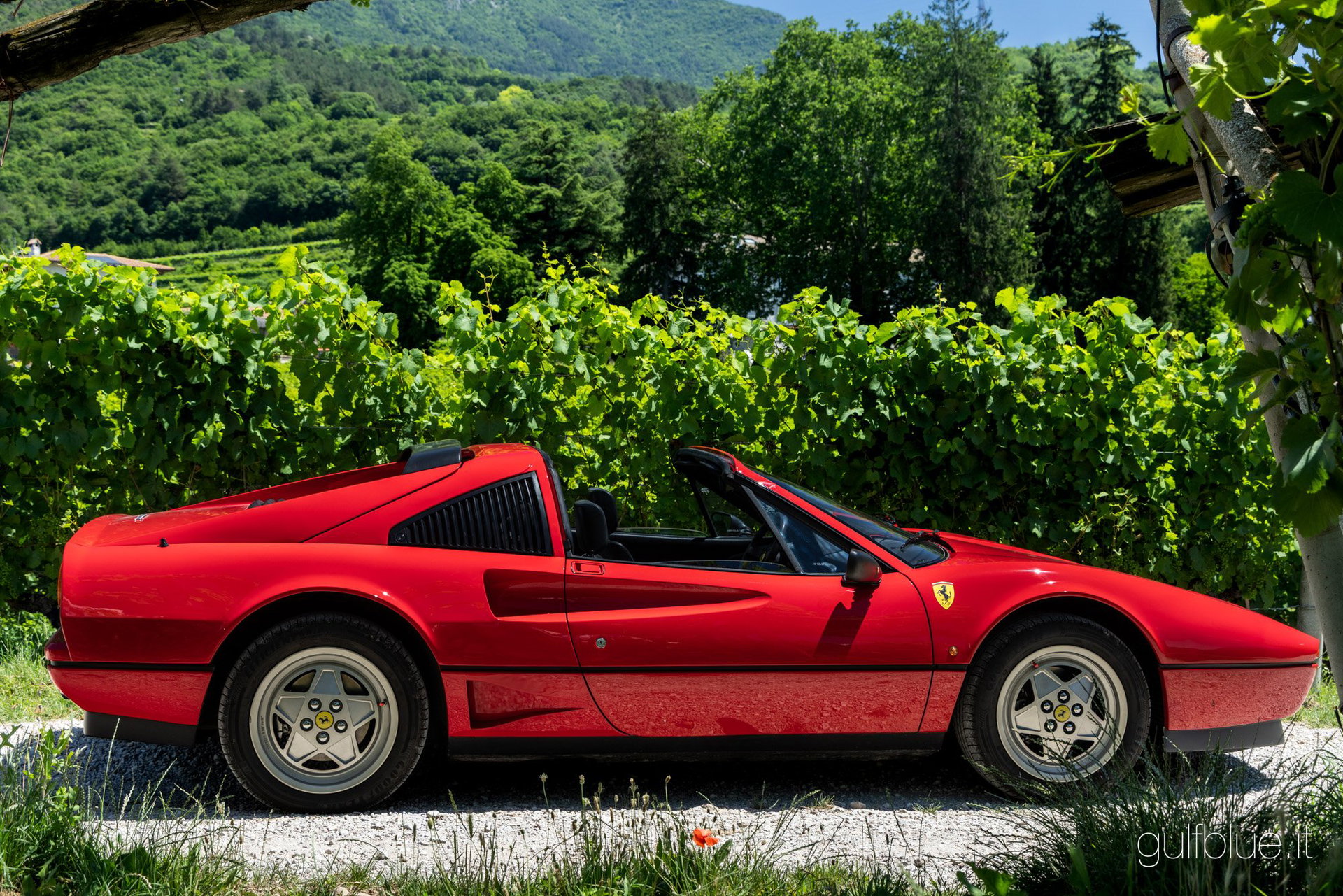1989 Ferrari 208 - GTS Turbo intercooler, foto 11