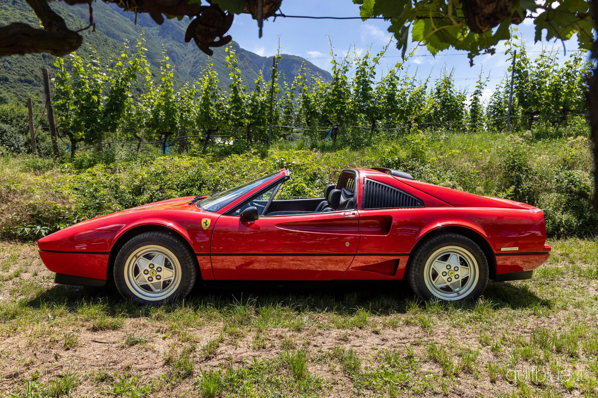 1989 Ferrari 208 - GTS Turbo intercooler, foto 3
