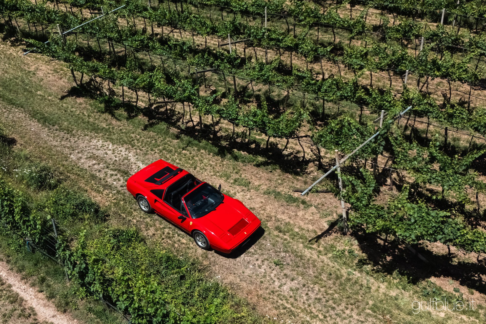 1989 Ferrari 208 - GTS Turbo intercooler, foto 4