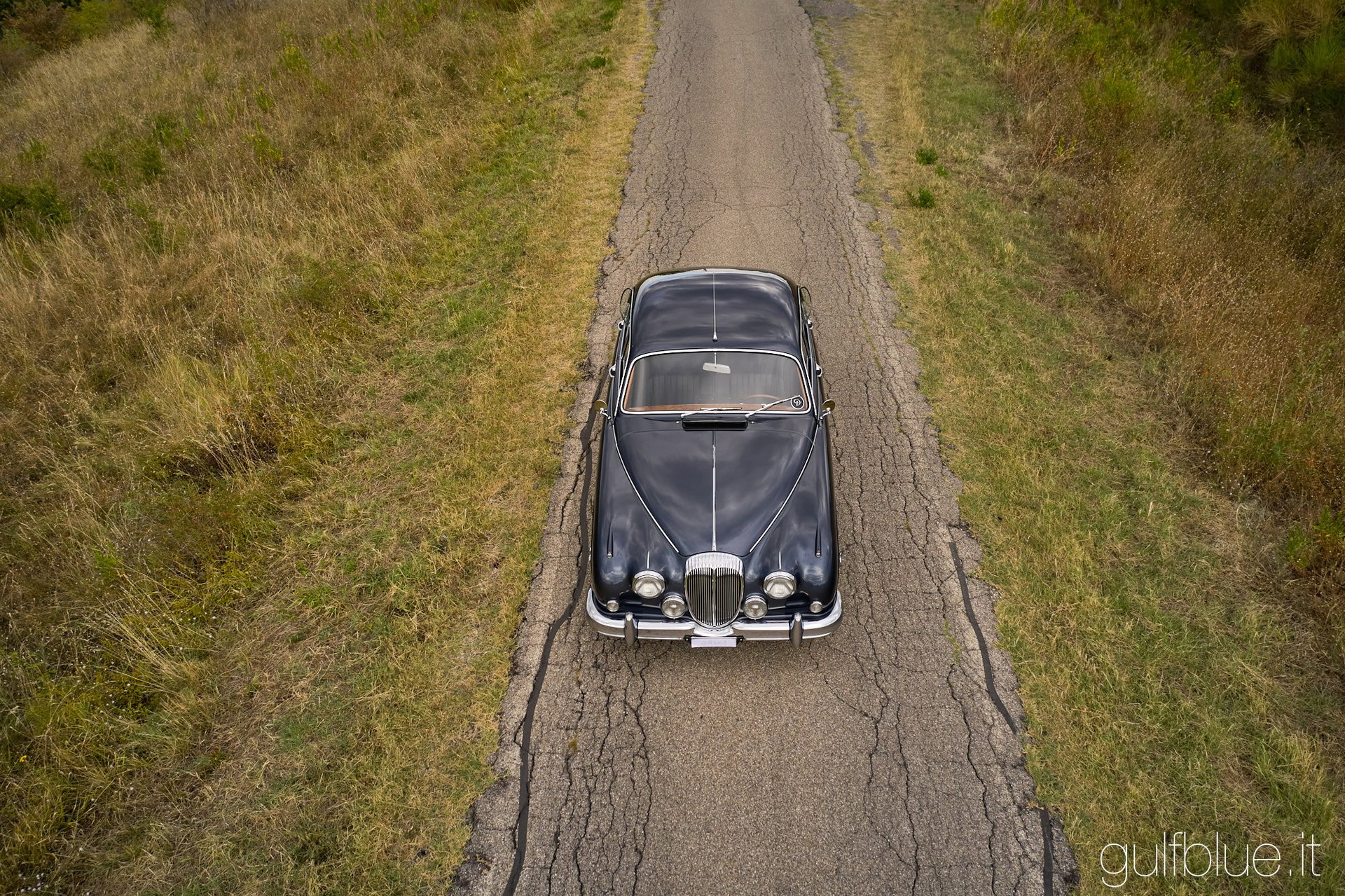 1965 Daimler 250 V8, foto 2